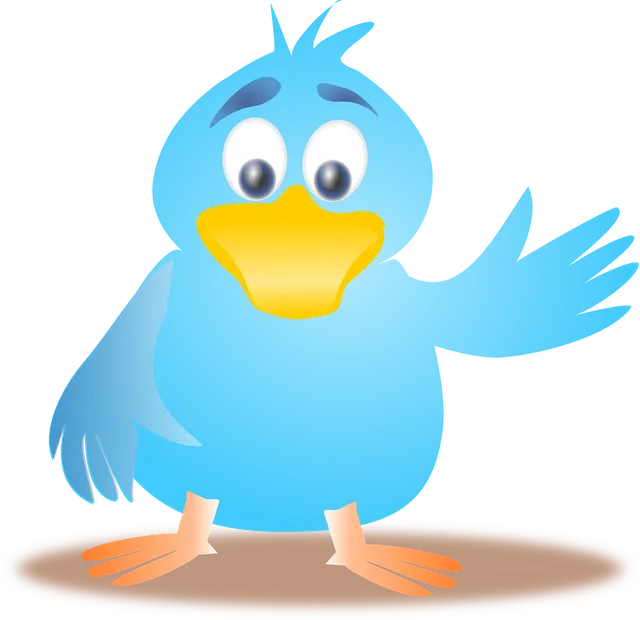 Twitter Logo

